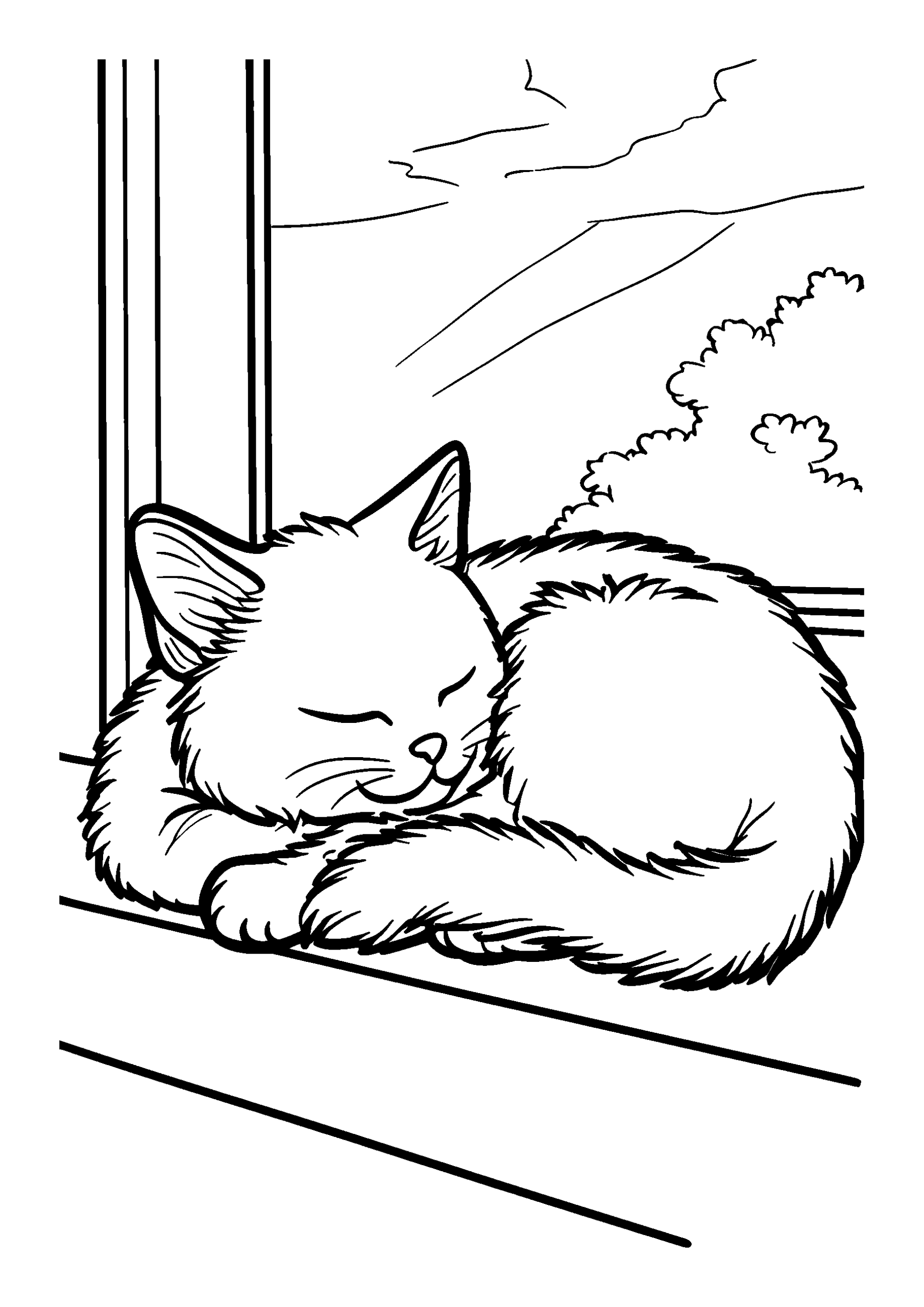coloriage Sleeping Cat Curled Up on a Sunny Windowsill