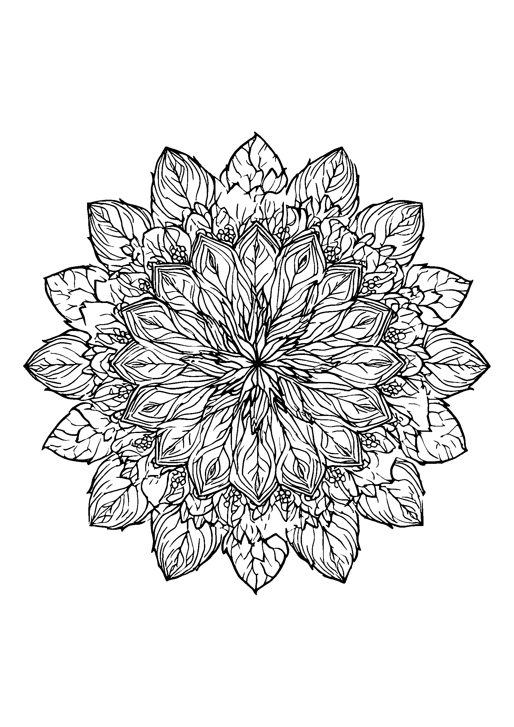 coloriage Large Mandala Composed of Leaves and Vines