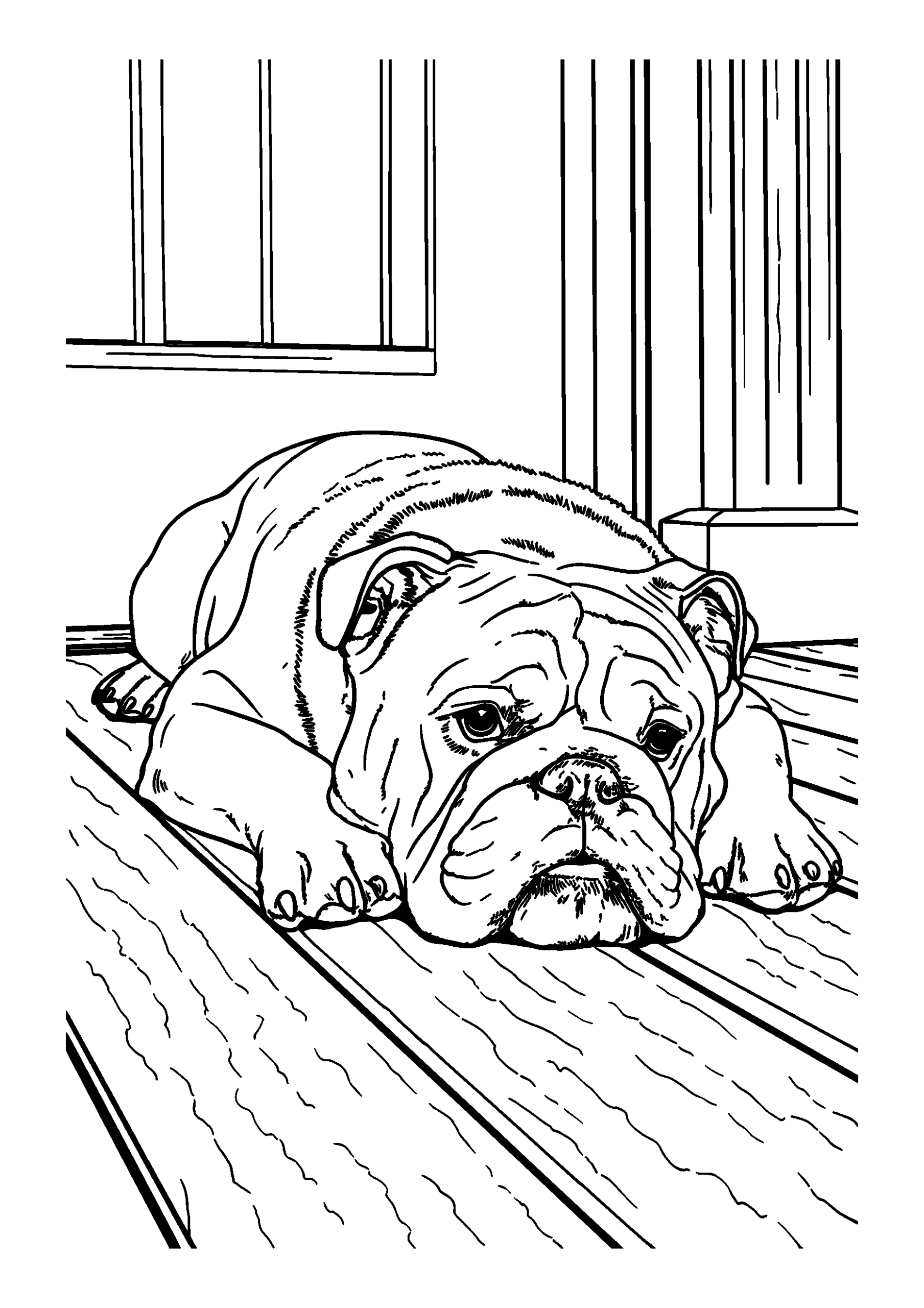 coloriage Bulldog Sprawled out Lazily on a Warm Porch