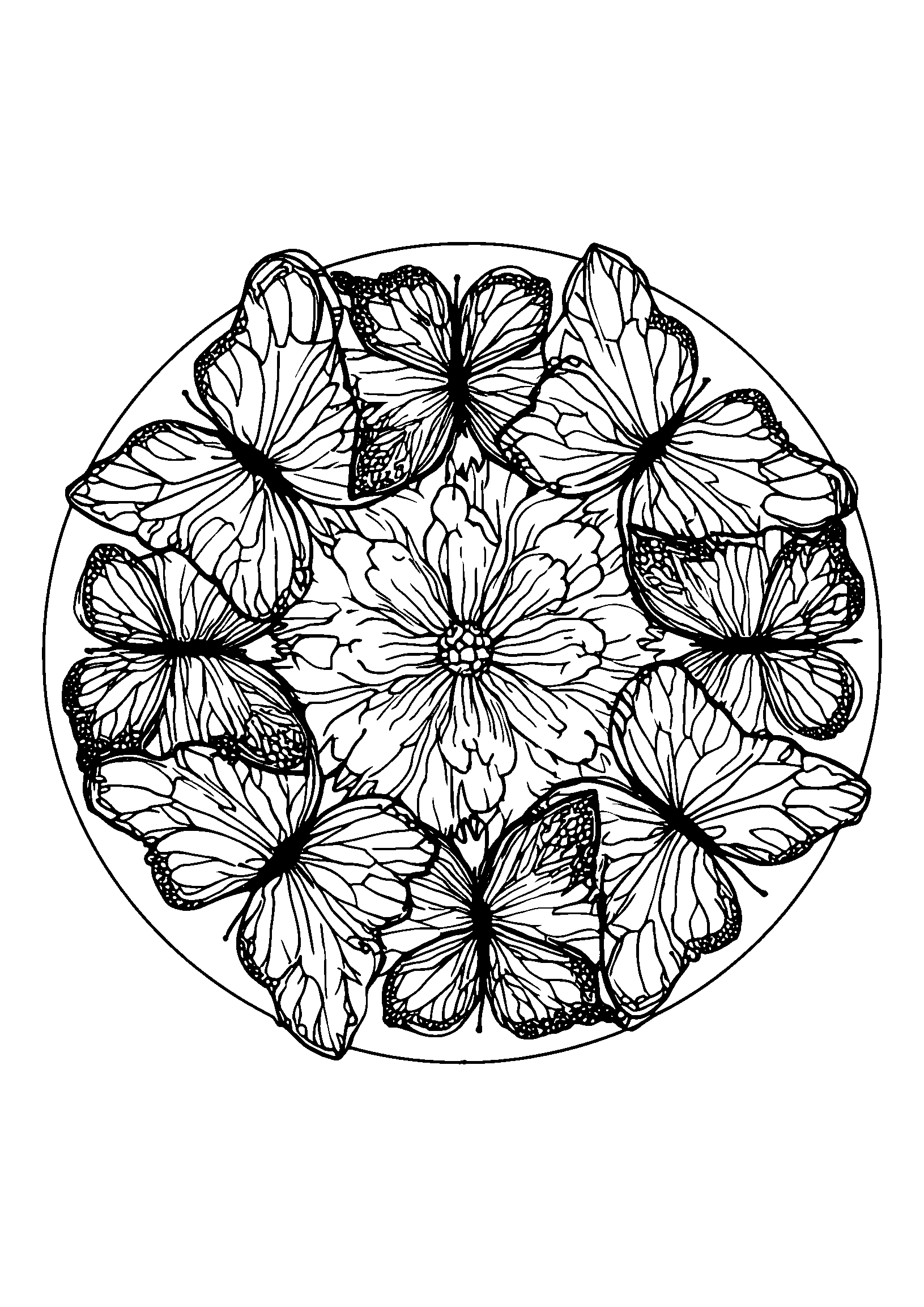 coloriage Mandala of Butterflies in Flight Around a Central Flower