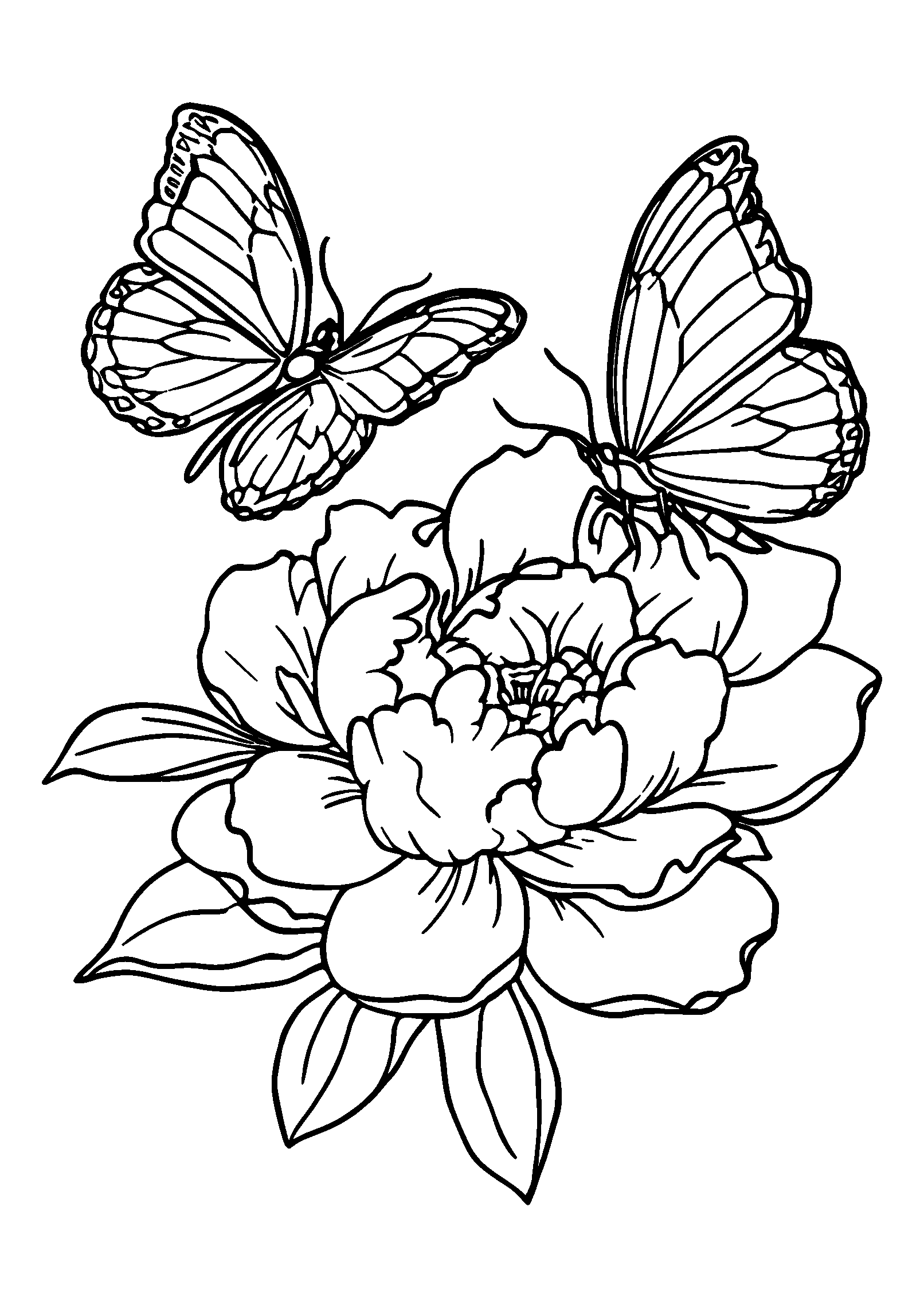 coloriage Playful Butterflies Resting on a Pink Peony