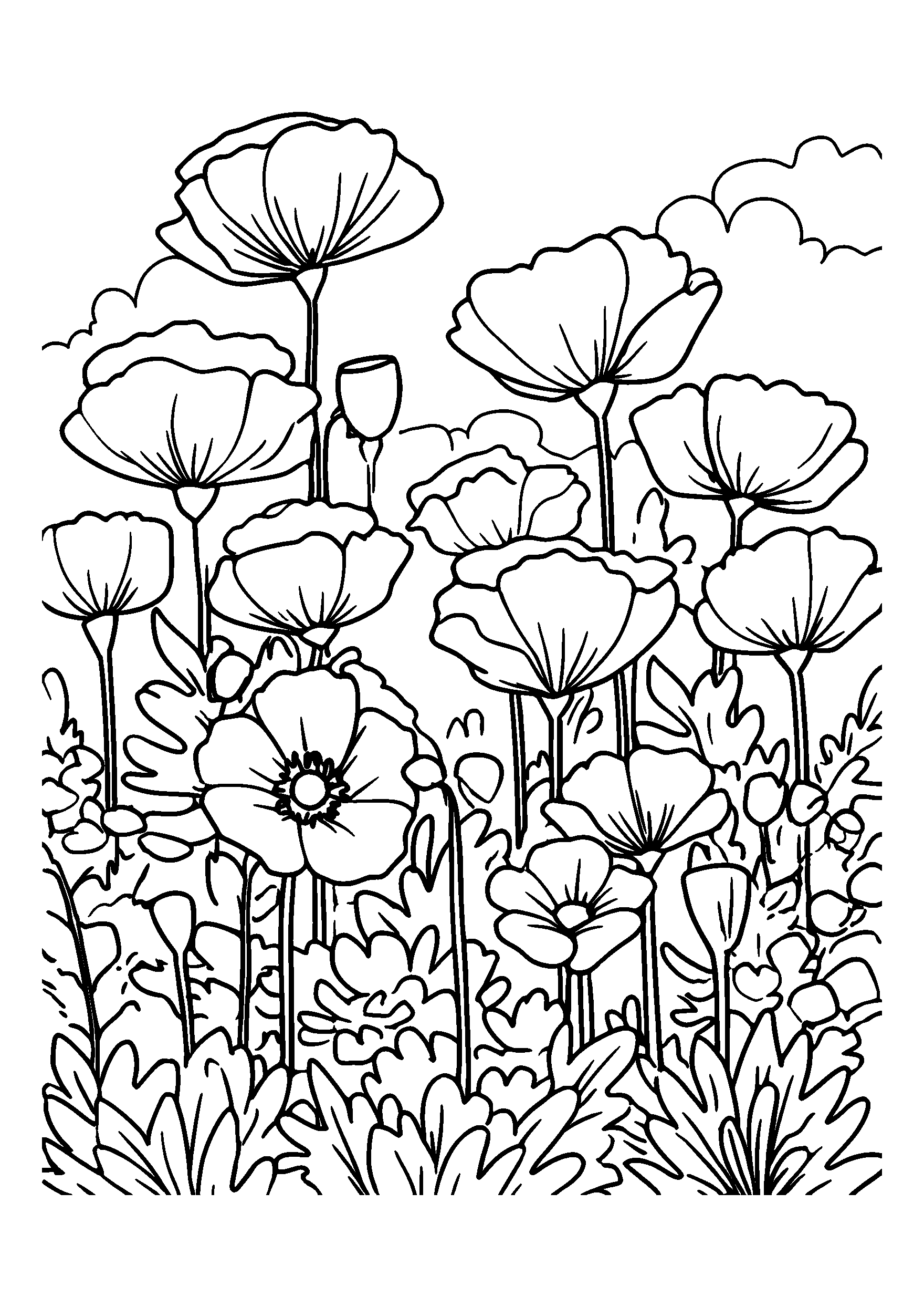 coloriage Sunny Meadow Filled with Colorful Poppies