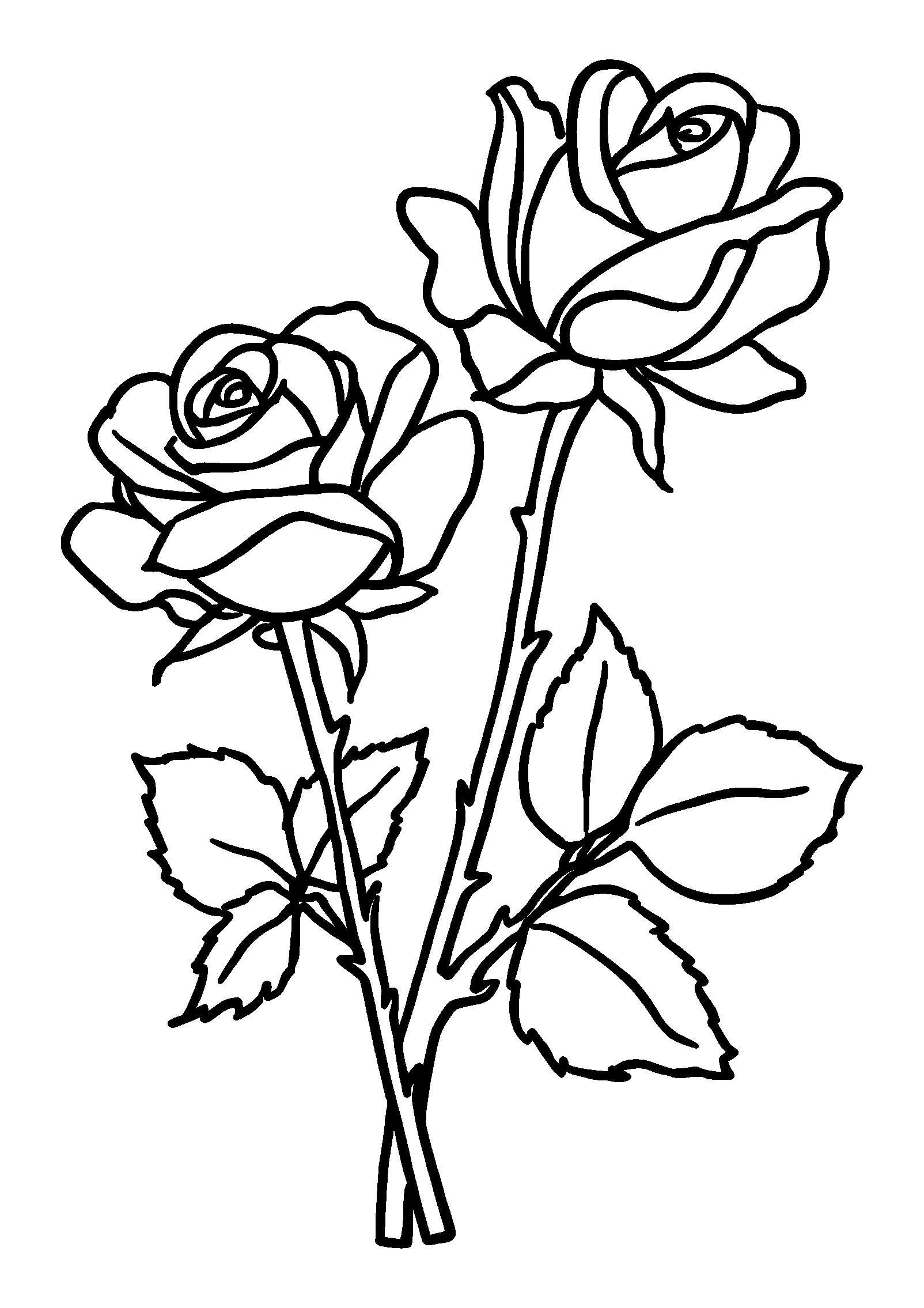 coloriage Roses Entwined with Thorns on a Vine