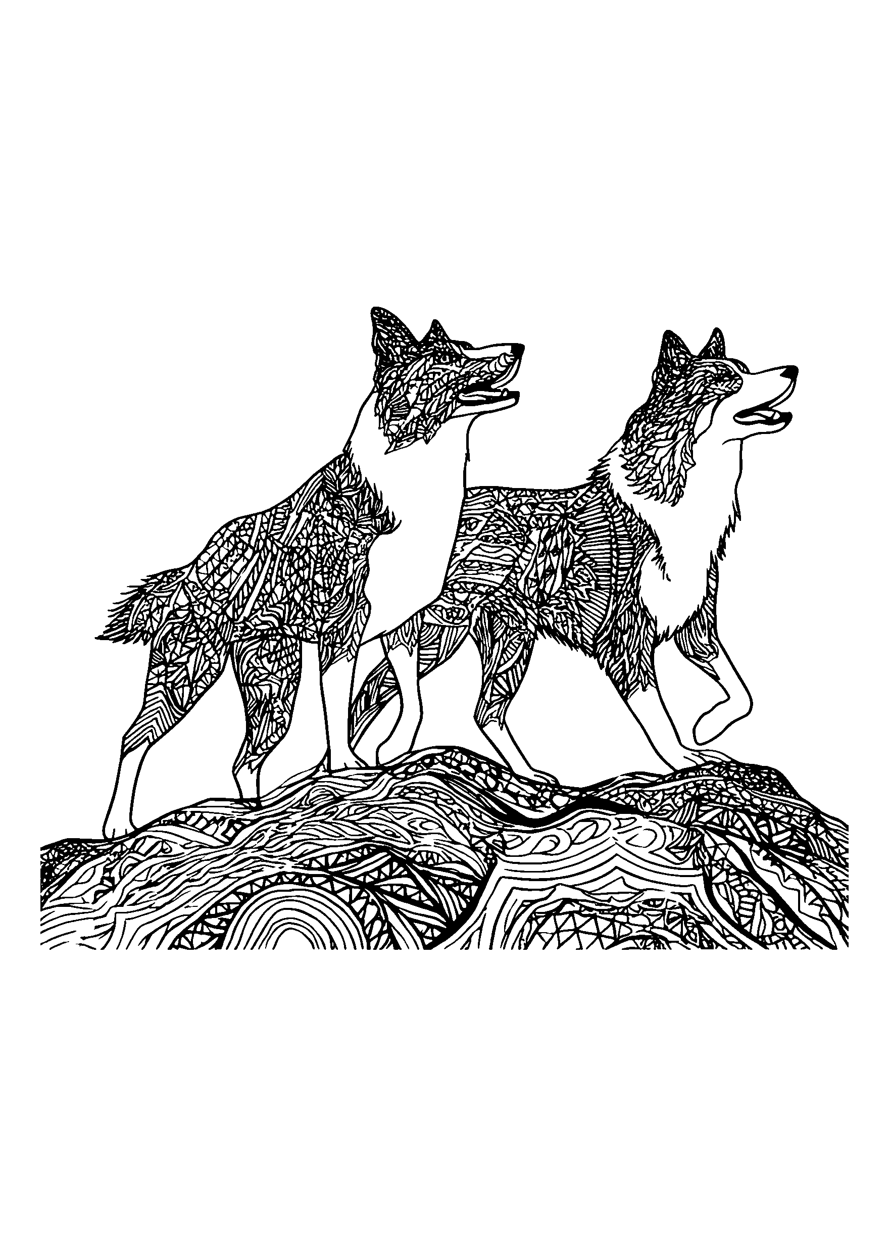 coloriage Border Collies Herding Sheep on a Hillside