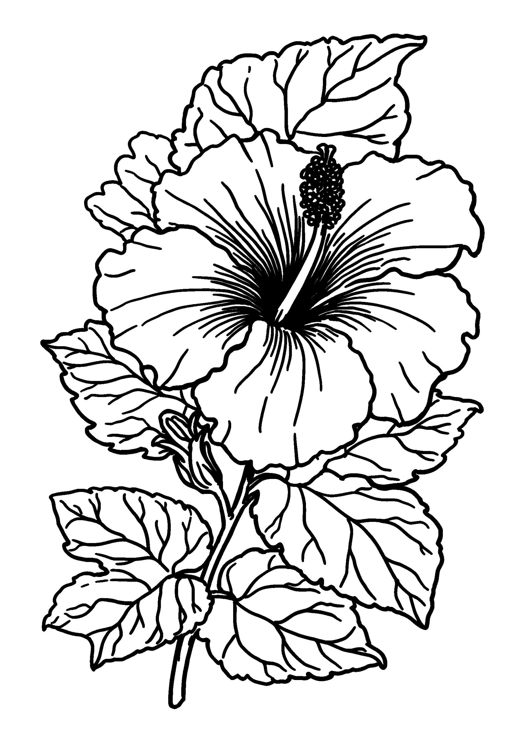 coloriage Vibrant Hibiscus with Lush Green Surroundings