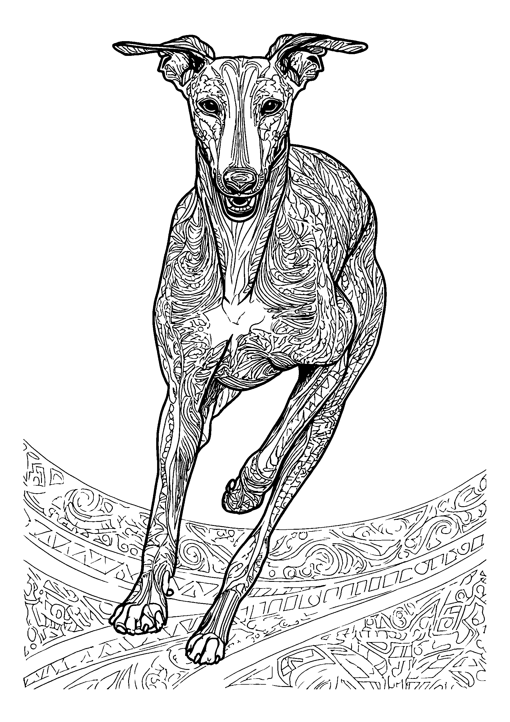 coloriage Greyhound Sprinting on a Racetrack with Determination