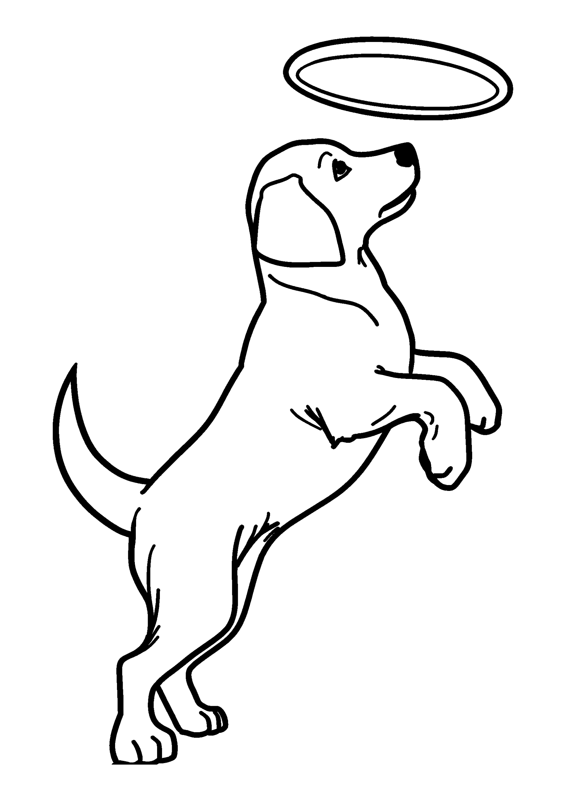 coloriage Labrador Retriever Retrieving a Frisbee in Mid-air