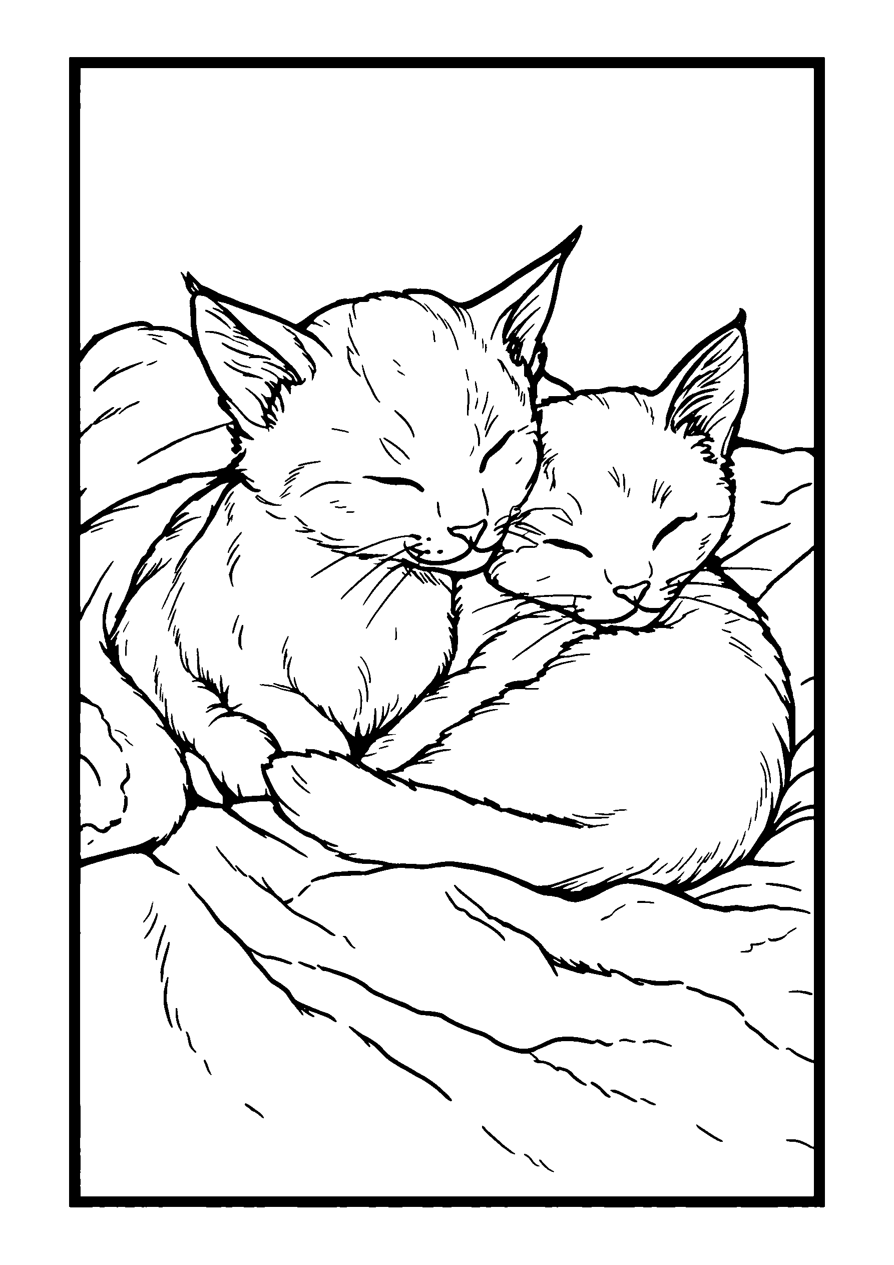 coloriage Cats Sitting Side by Side on a Fence