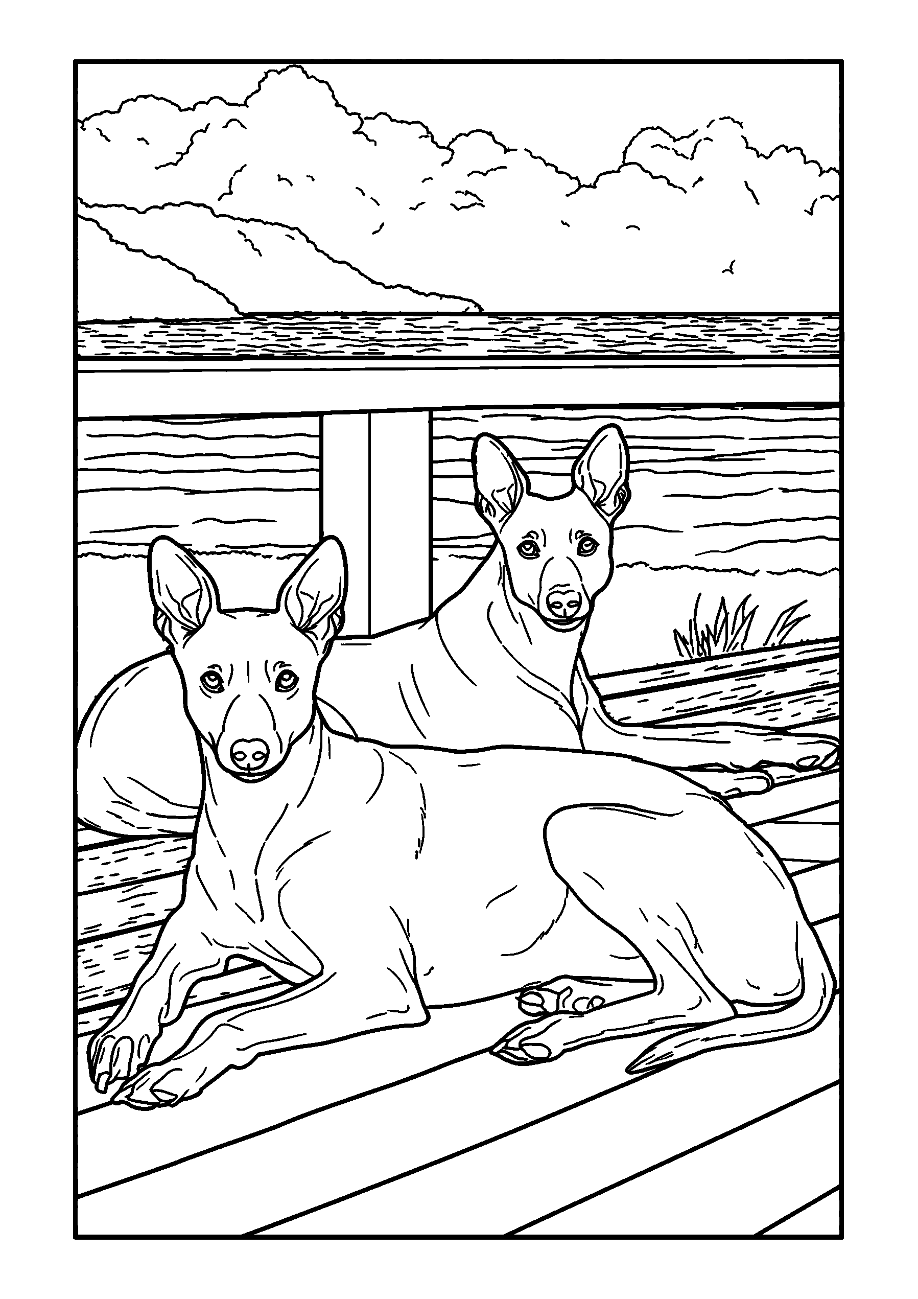 coloriage Greyhounds Lounging on a Terrace Overlooking the Sea