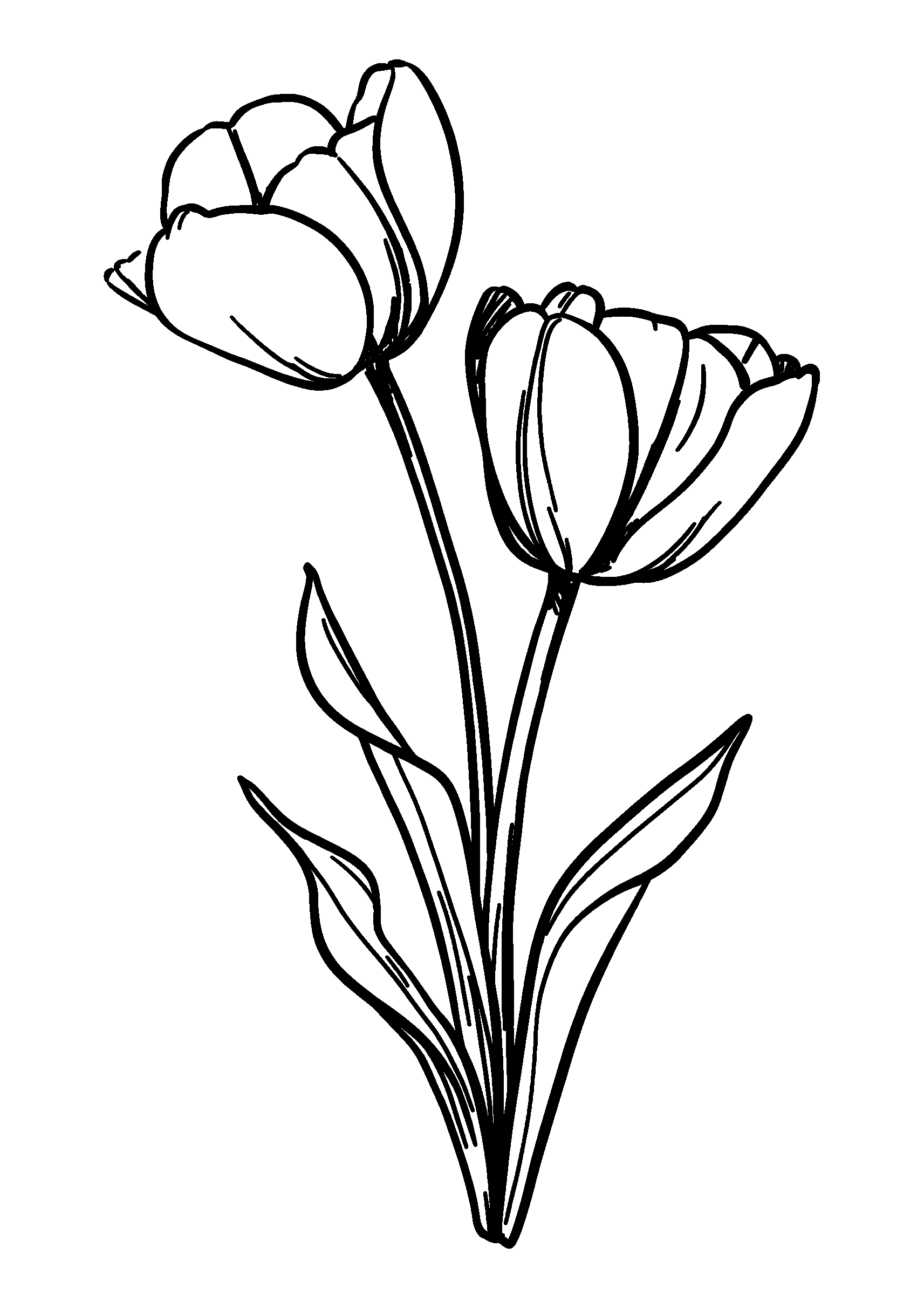 coloriage Dreamy Watercolor-style Background Featuring Soft Petals