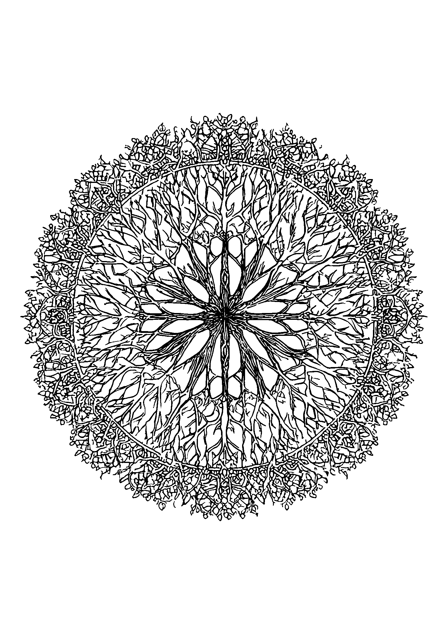 coloriage Mandala Embodying the Four Seasons with Changing Elements