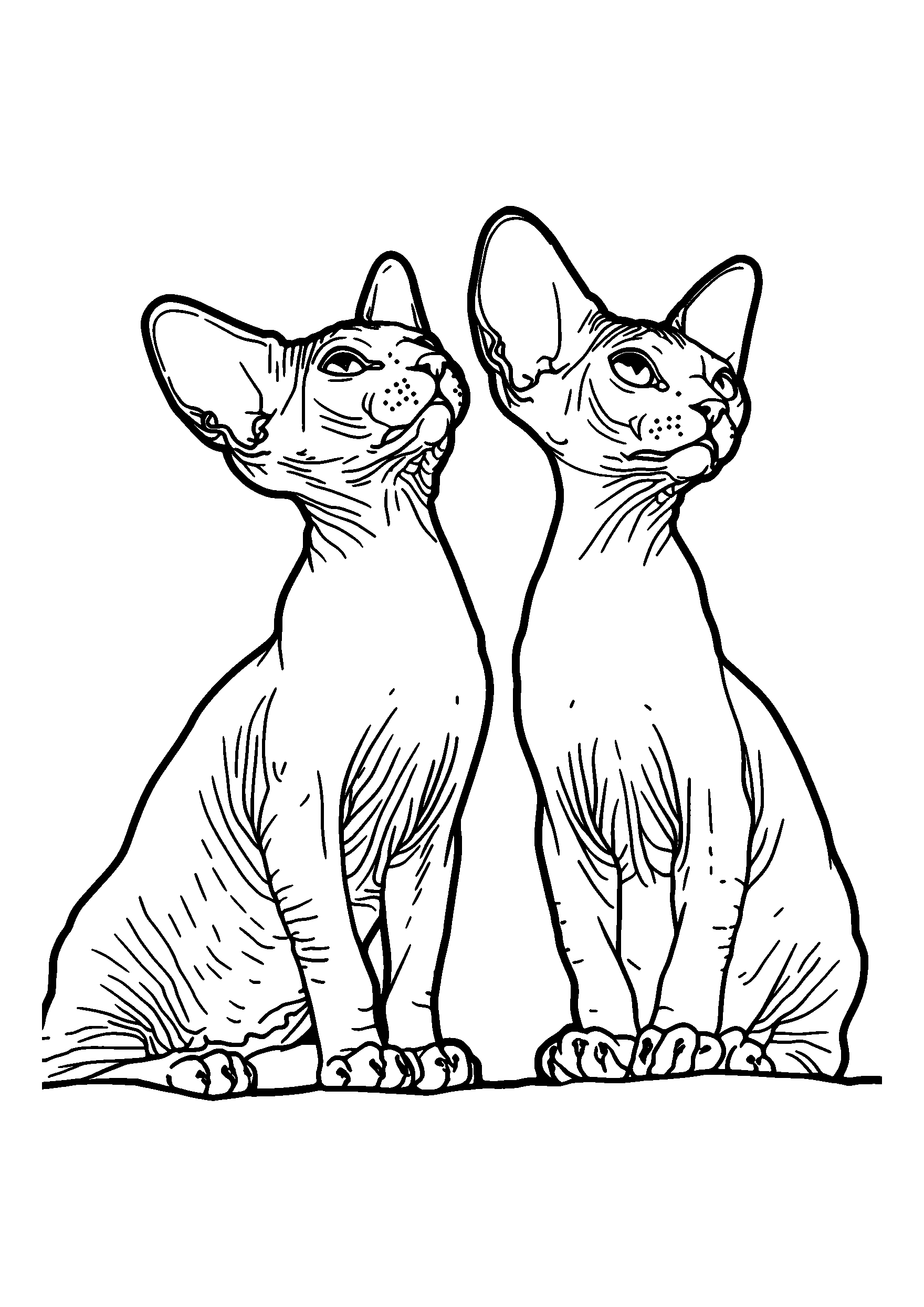 coloriage Sphynx Cats Judging Other Animals from a High Perch