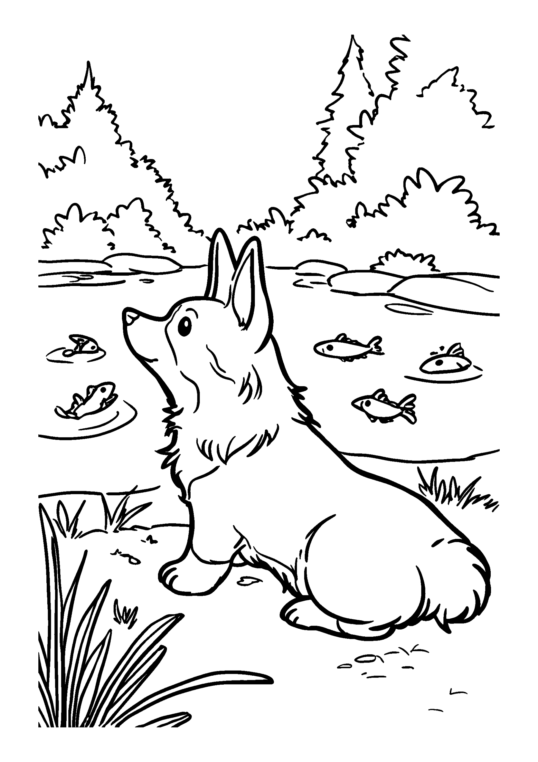 coloriage Quiet Corgi Watching Fish in a Pond
